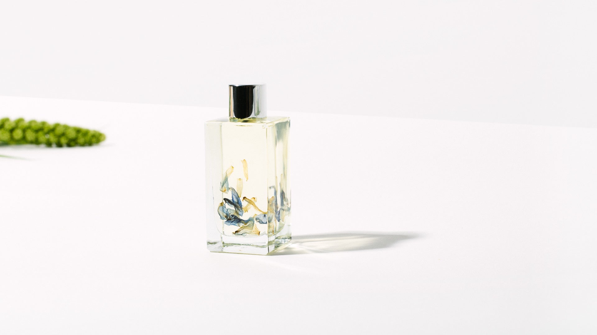 Elisabeth Fragrance Oil - Homecoming