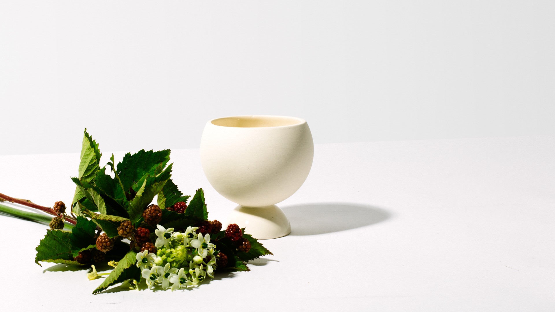 Cova Vase - Homecoming