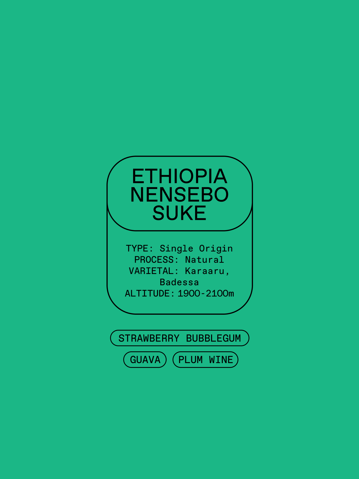 Ethiopia Nensebo