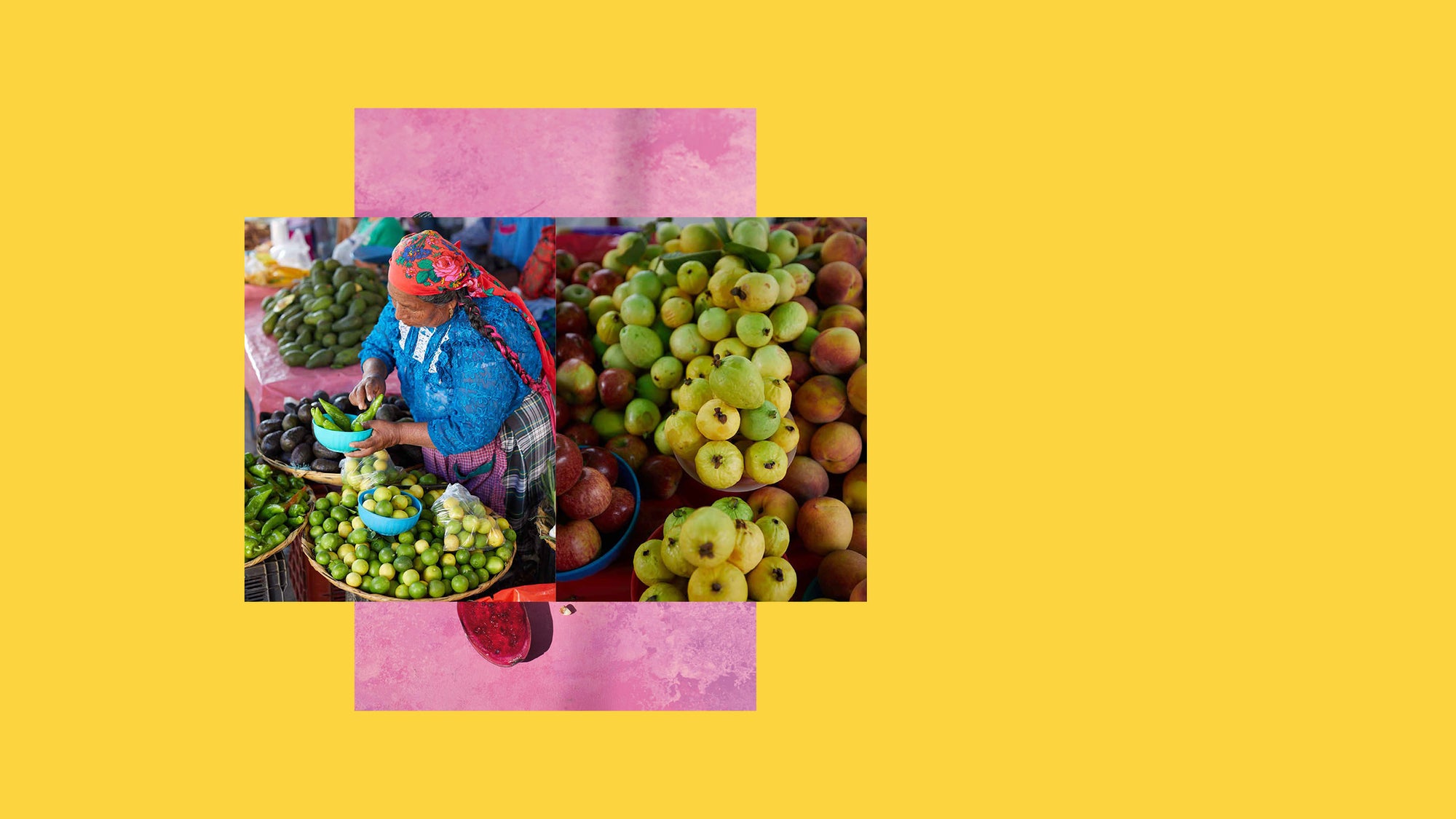 OAXACA Book Event - Homecoming - Homecoming