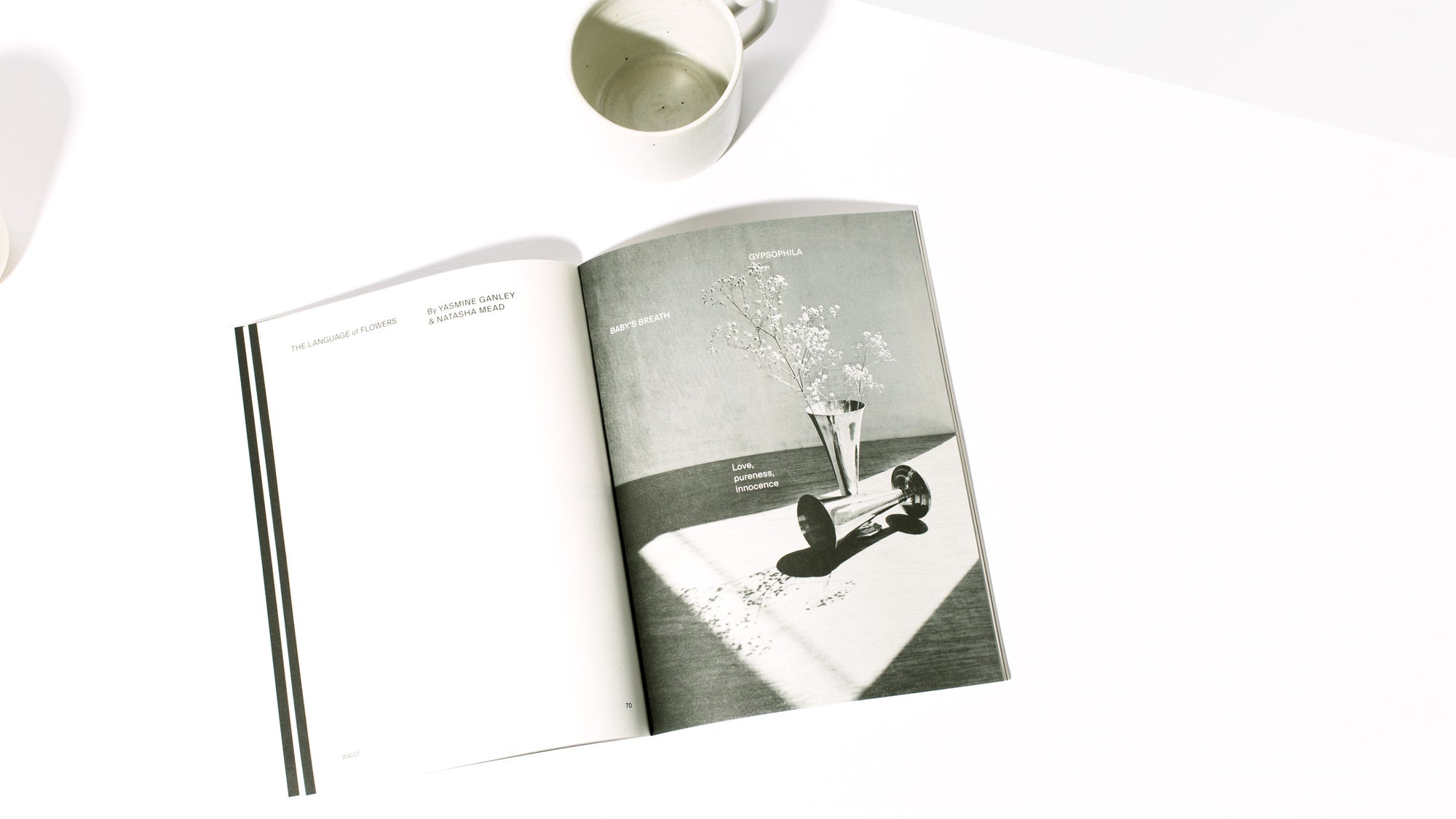 Issue 02 - Homecoming