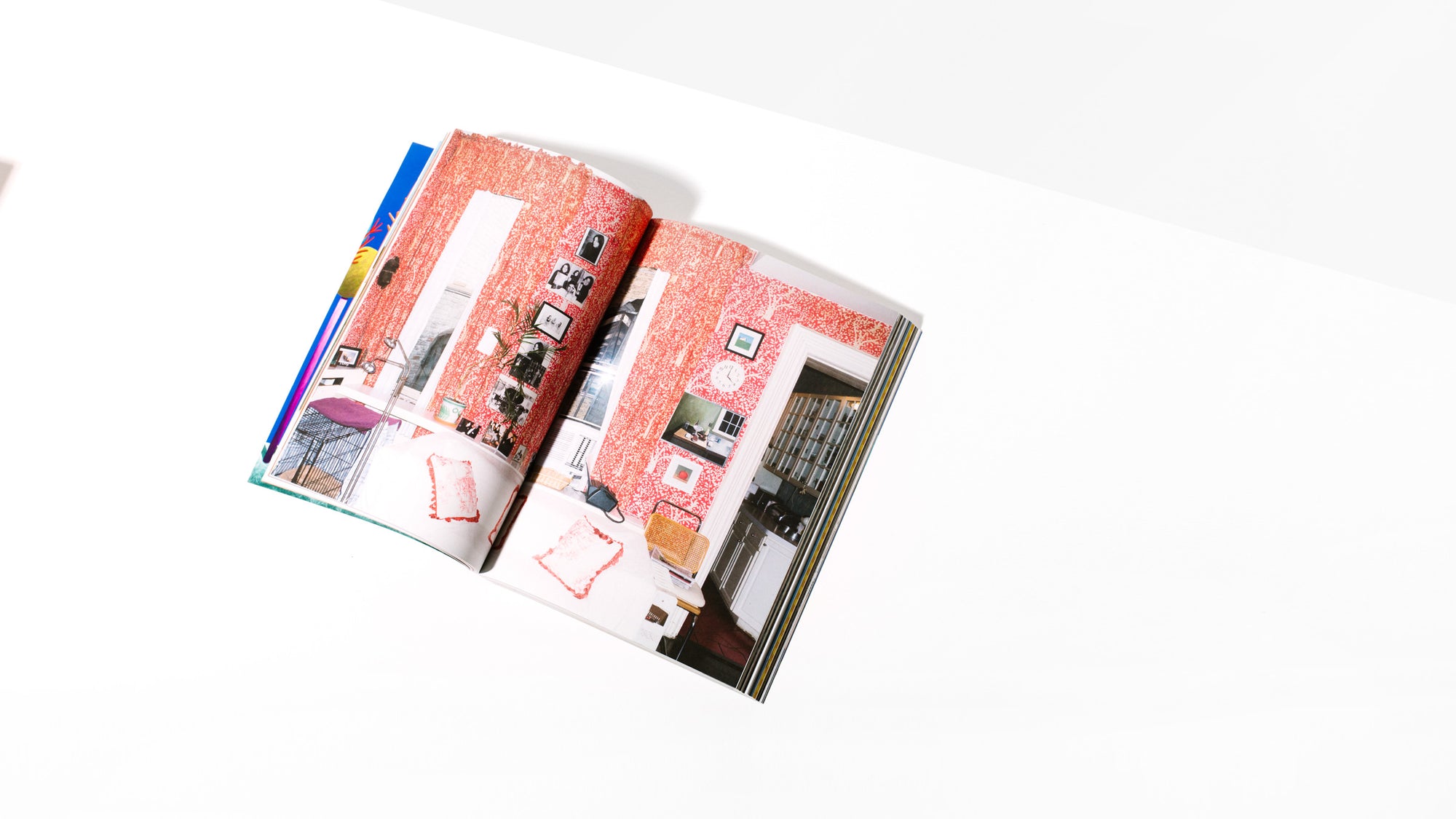 Issue 20 - Homecoming