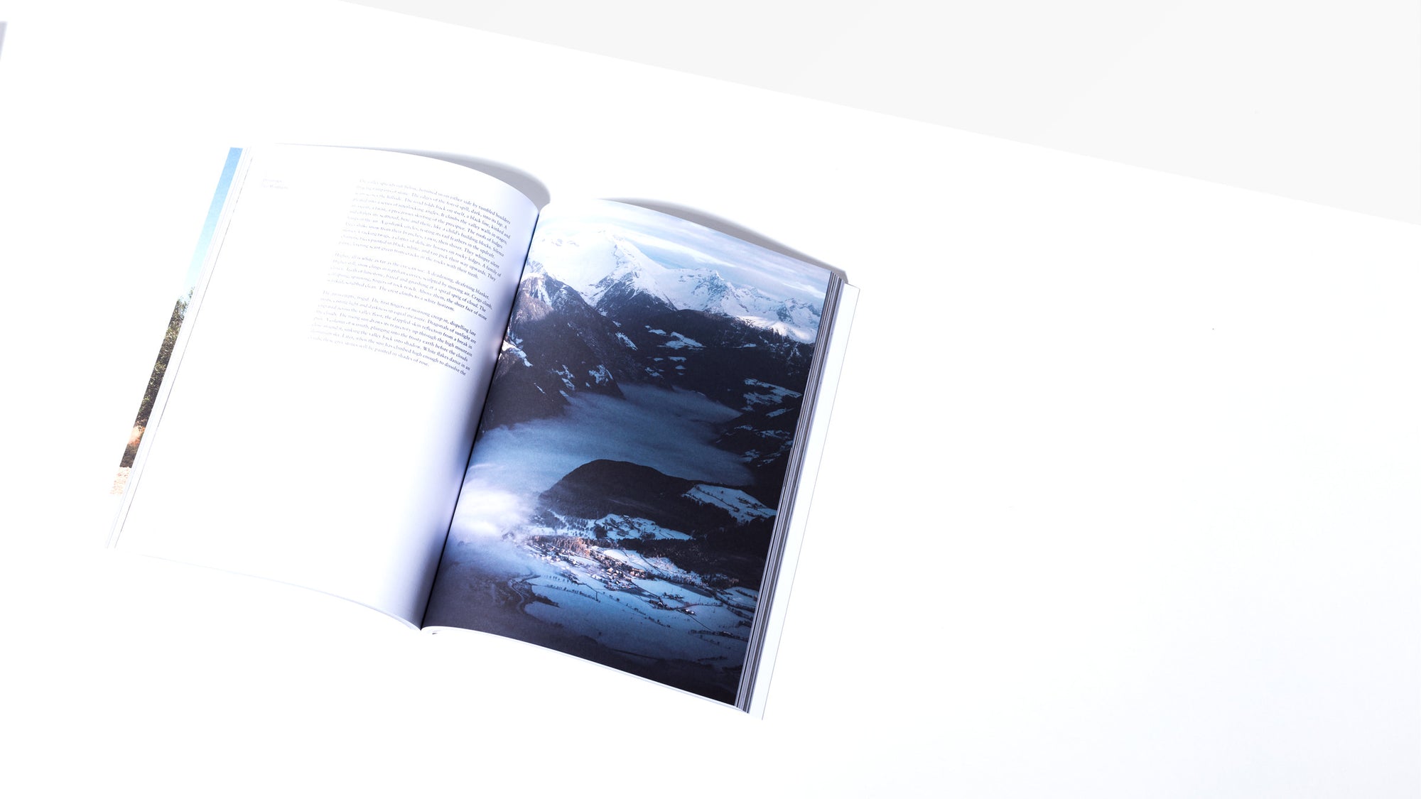 Volume 16 - Homecoming