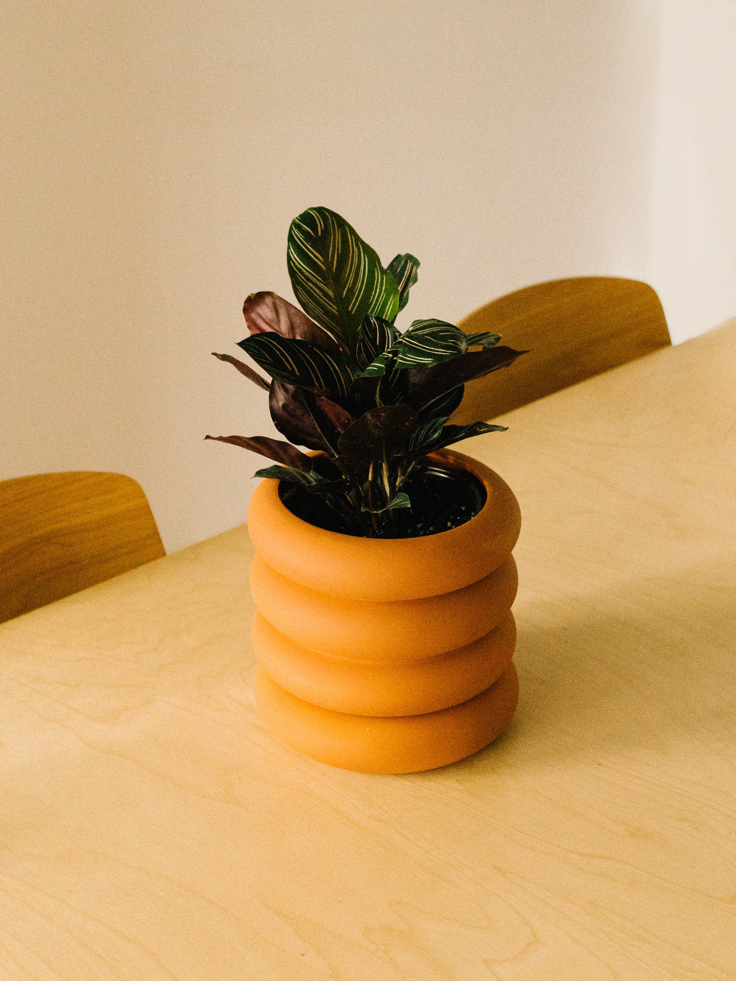 Tall Stacking Planter - Areaware - Homecoming
