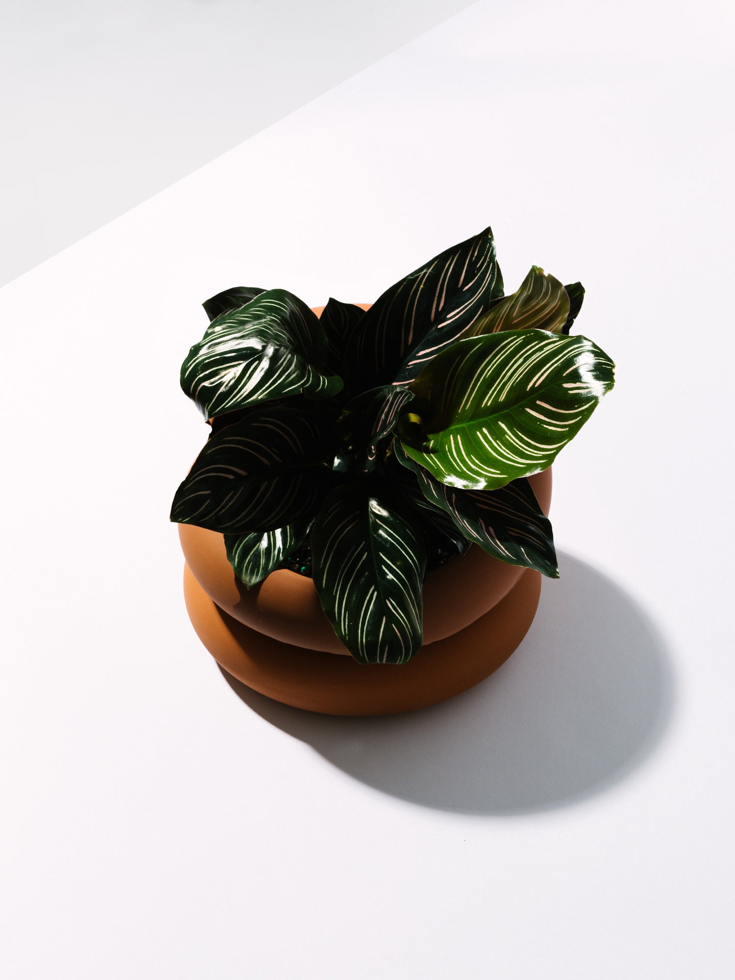 Short Stacking Planter - Areaware - Homecoming
