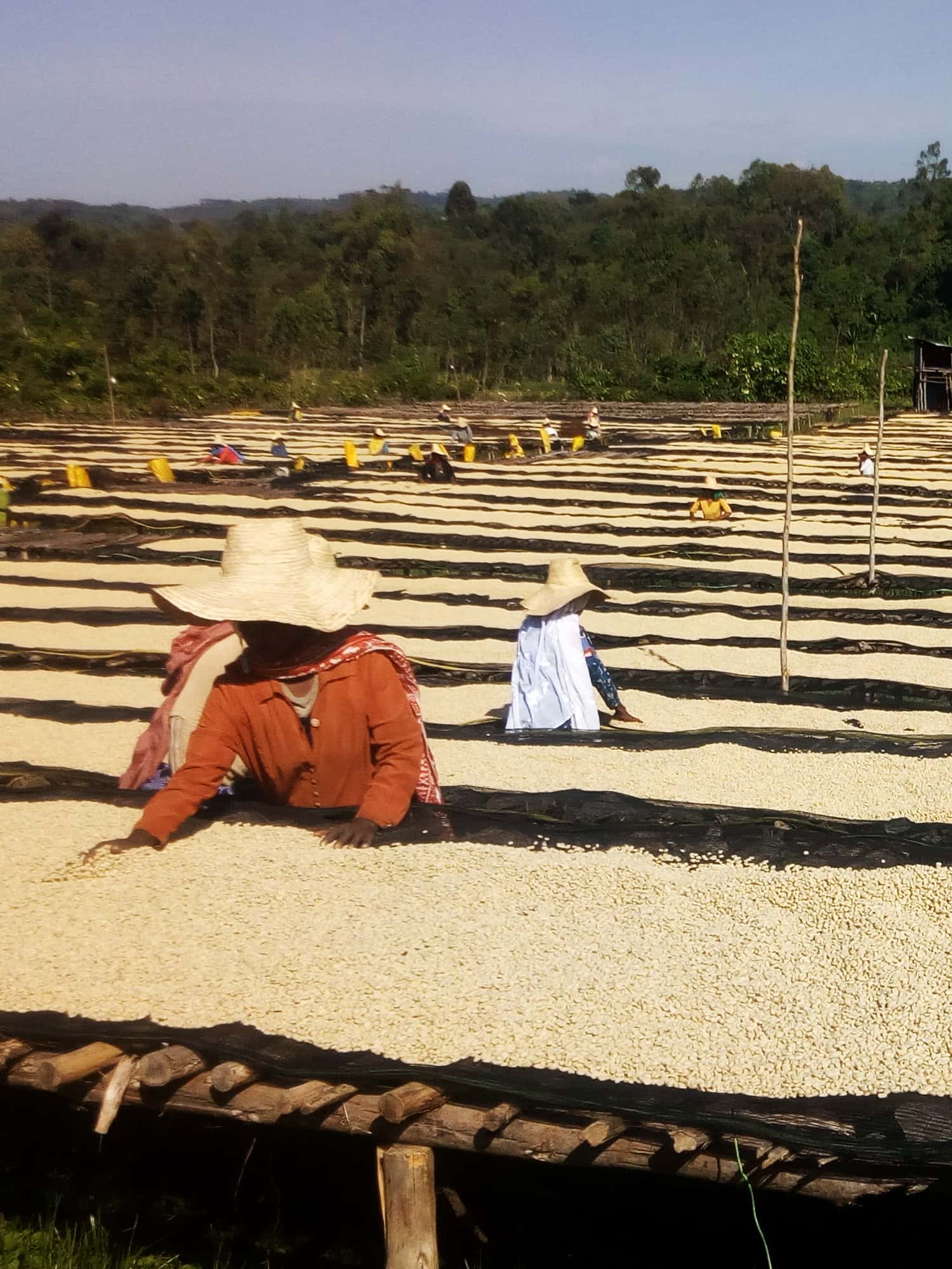 Ethiopia Geta Bore