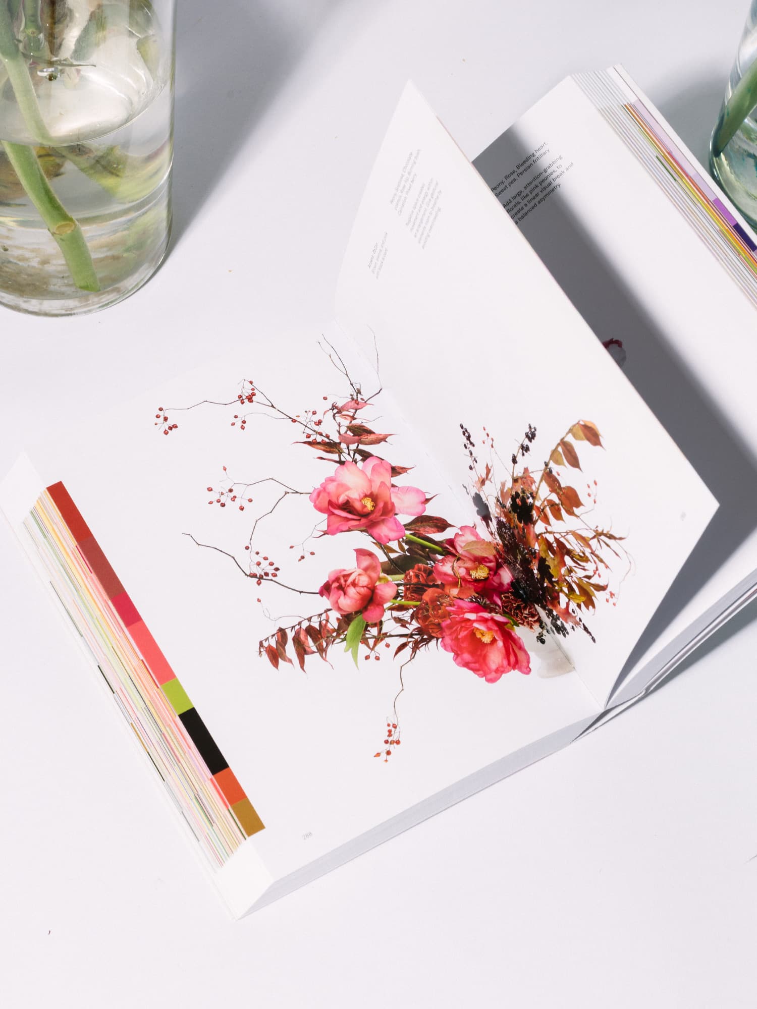 Flower Color Theory