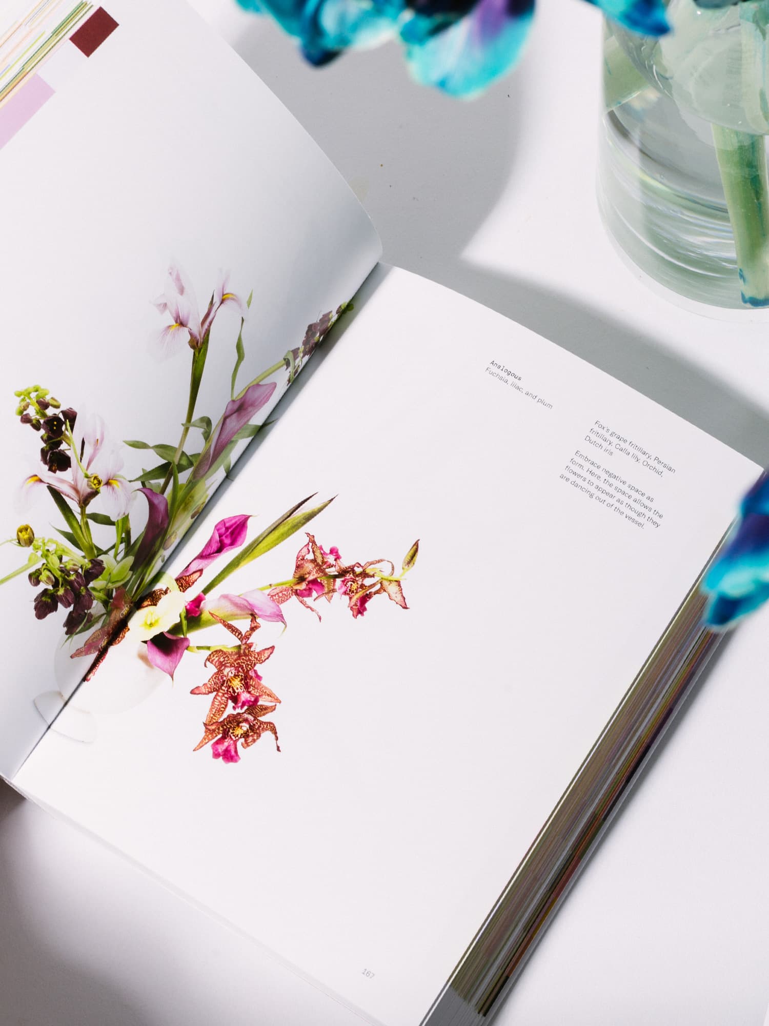 Flower Color Theory