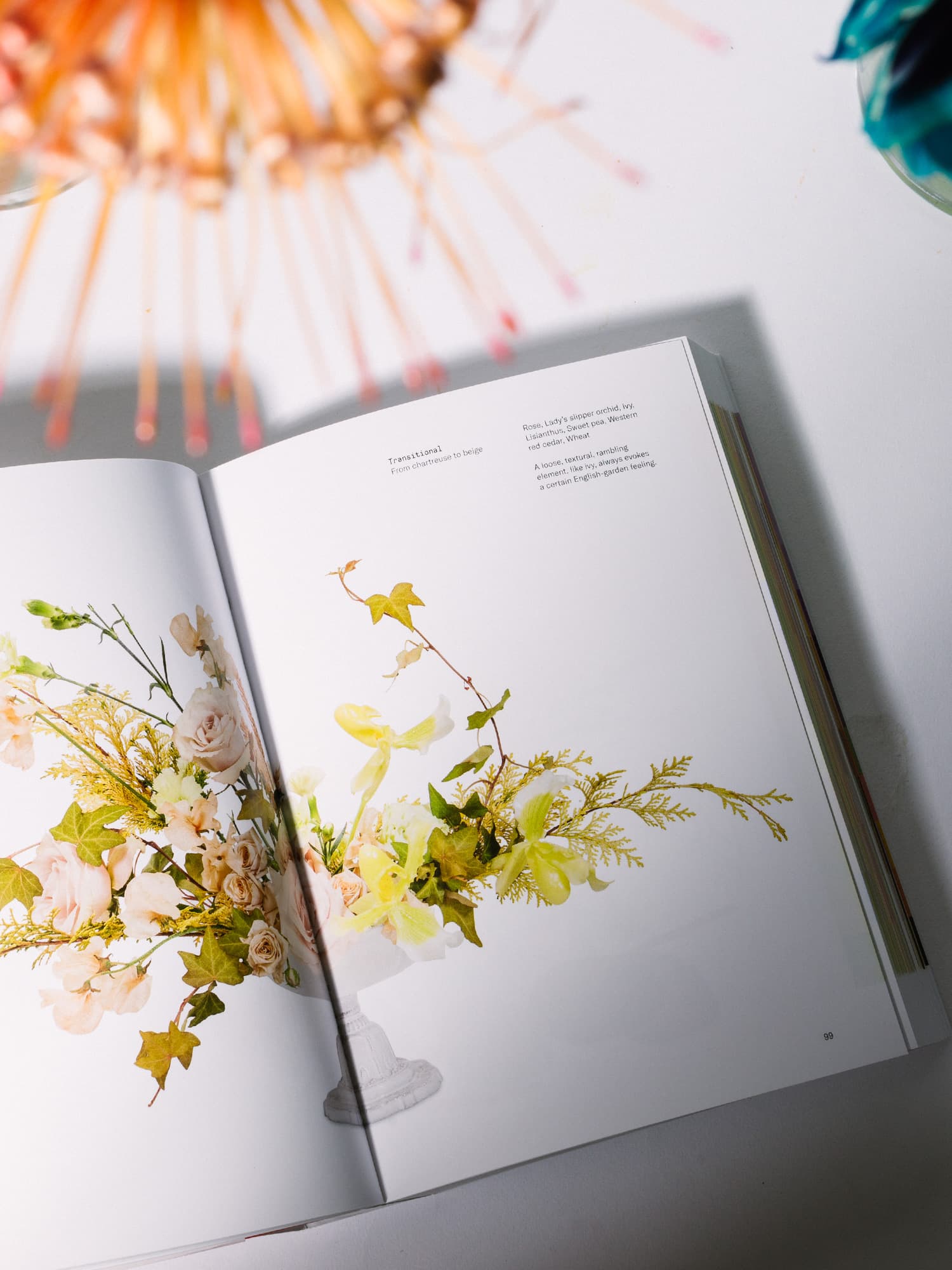 Flower Color Theory