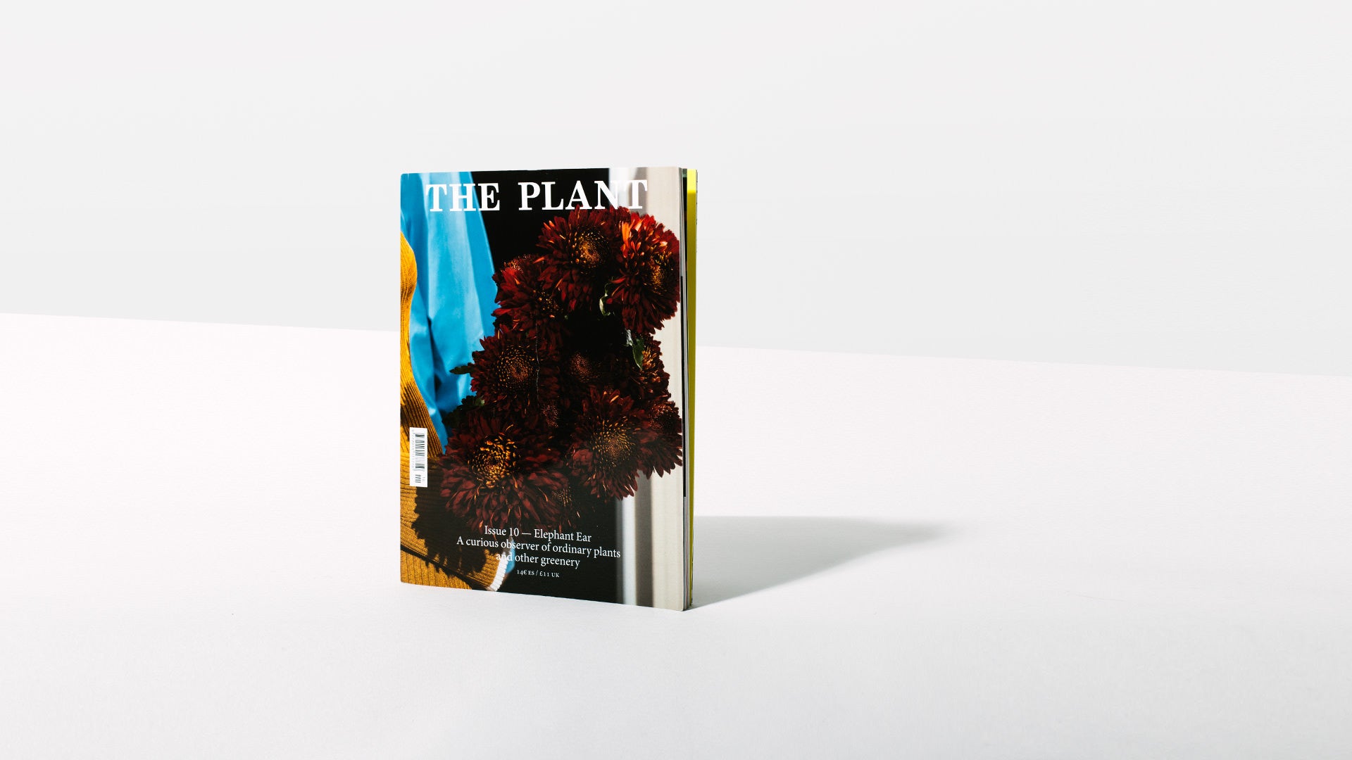 Issue 10 - Homecoming