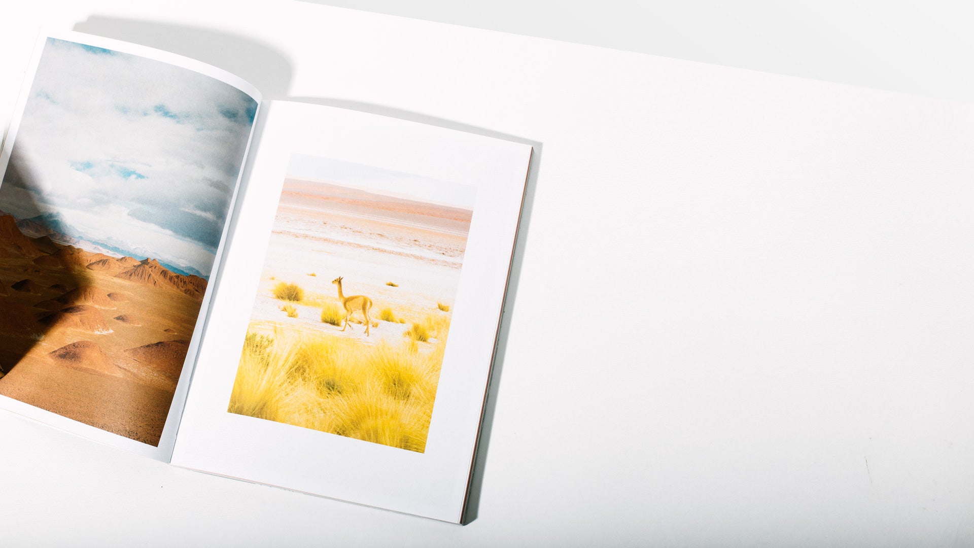 Issue 10 - Homecoming