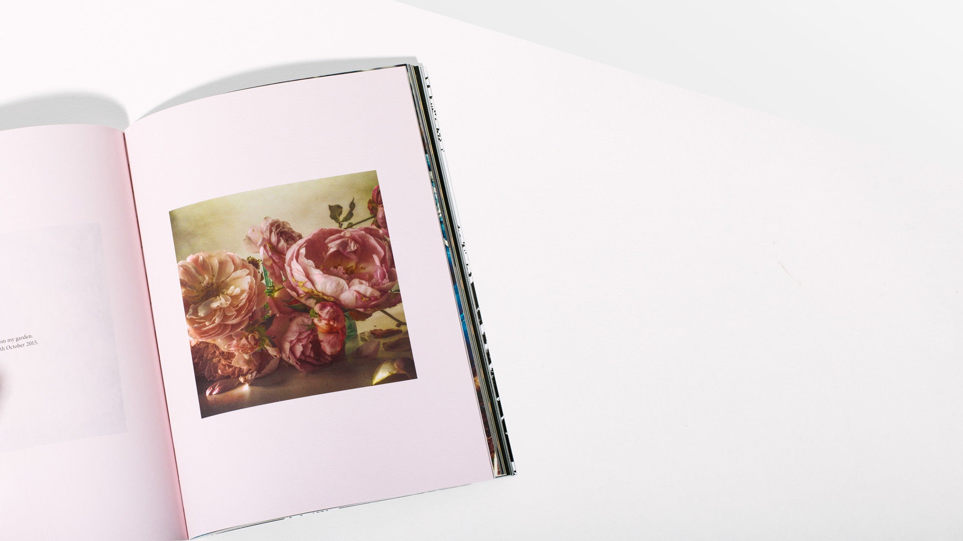 Issue 10 - Homecoming