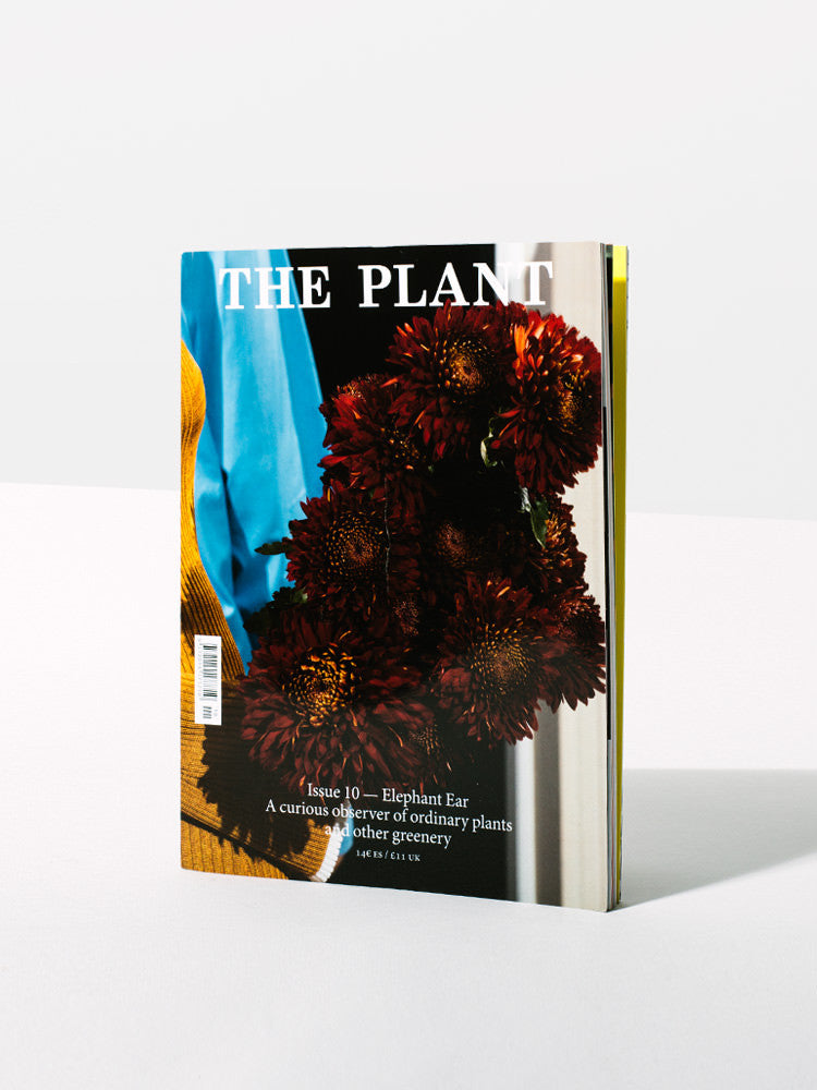 Issue 10 - Homecoming