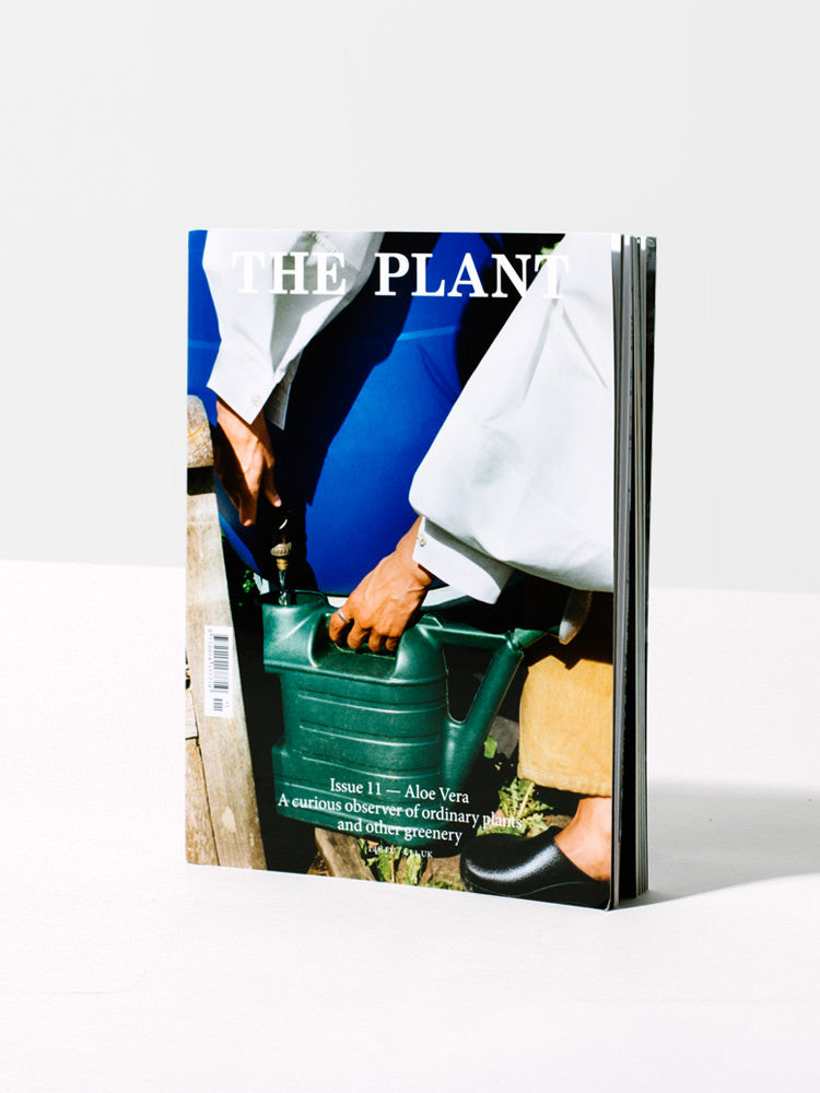 Issue 11 - Homecoming