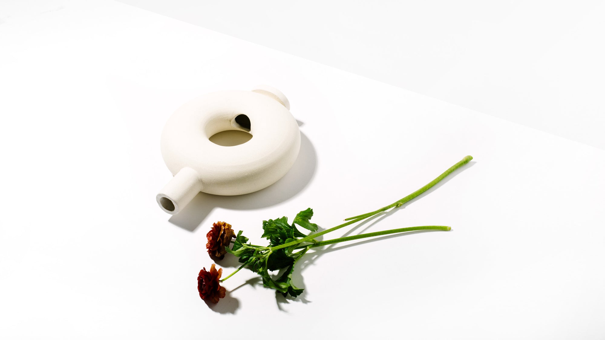 Torus Vase - Homecoming