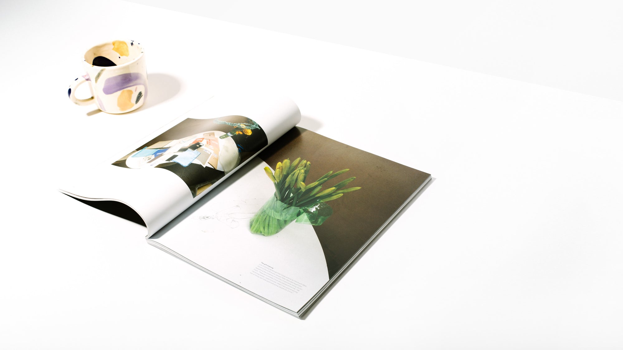 Issue 6 - Homecoming