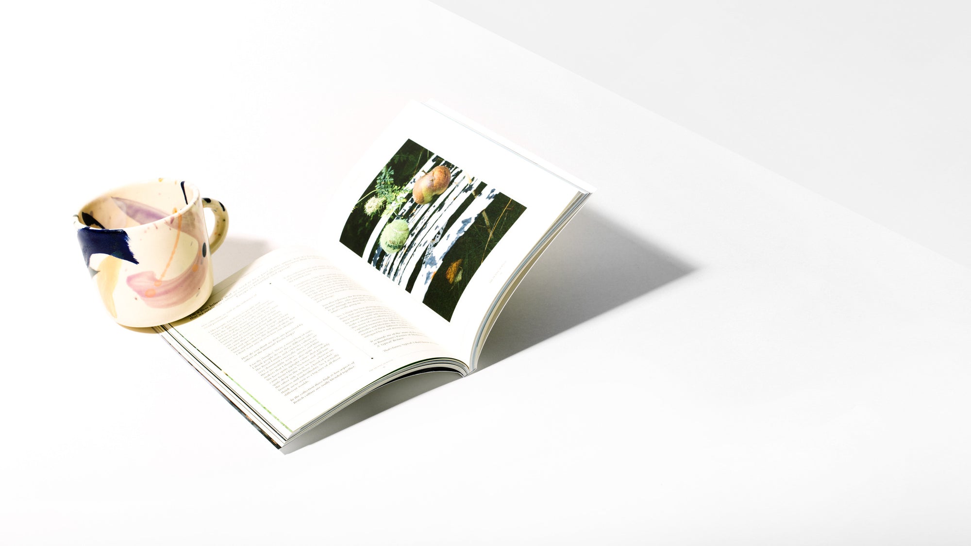 Issue 13 - Homecoming
