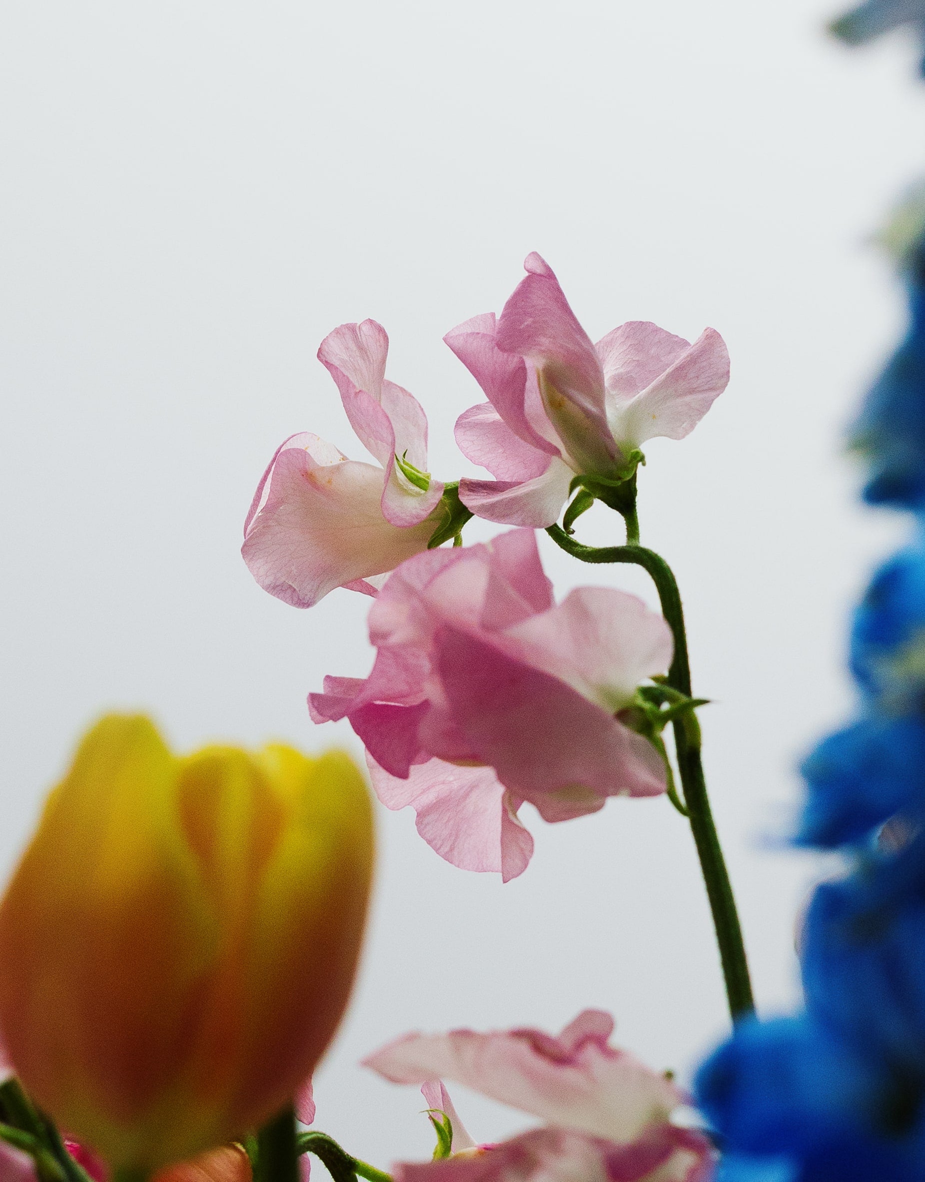 Mother’s Day Signature Hand-Tied Bouquet - Homecoming