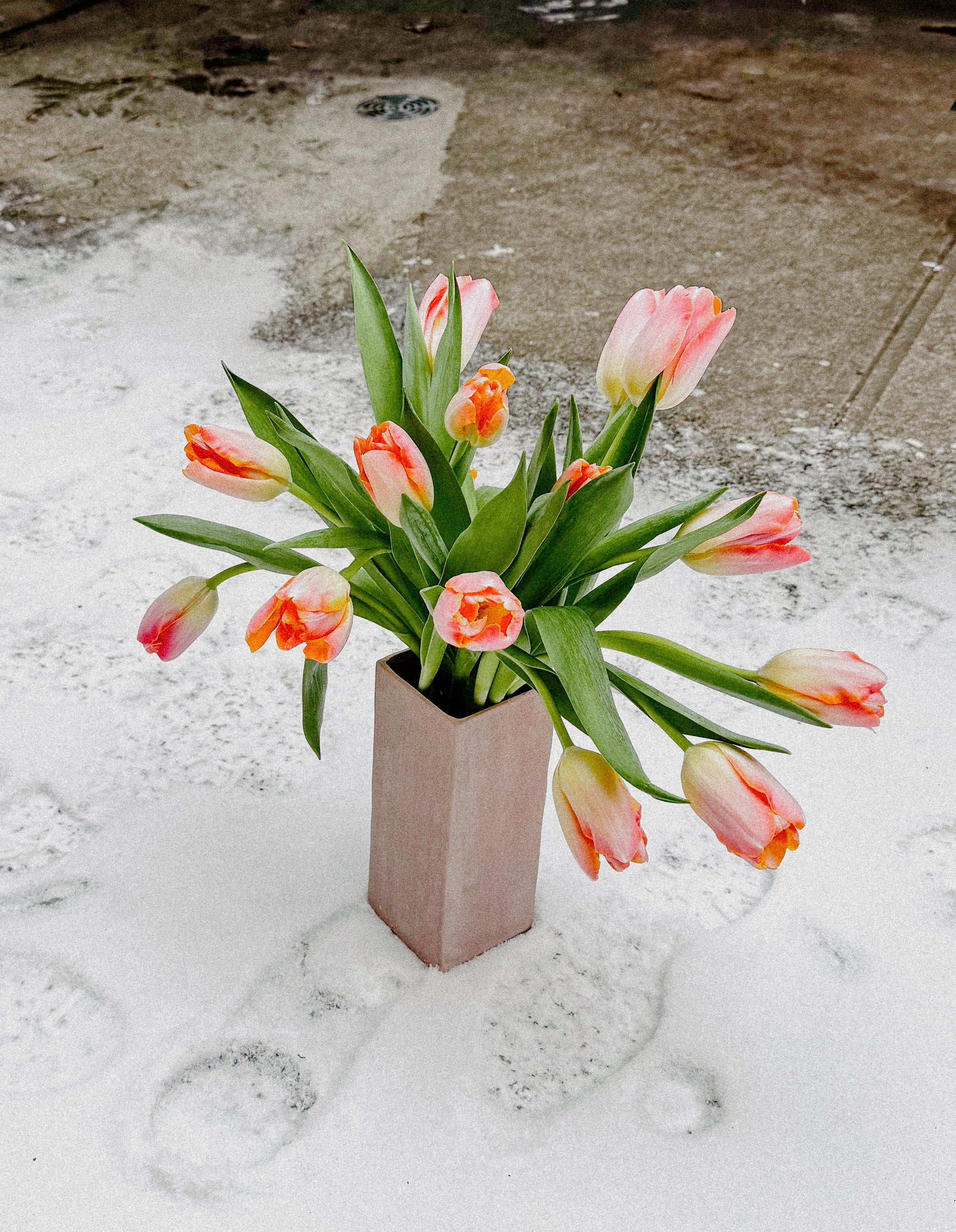 Tulip Arrangement