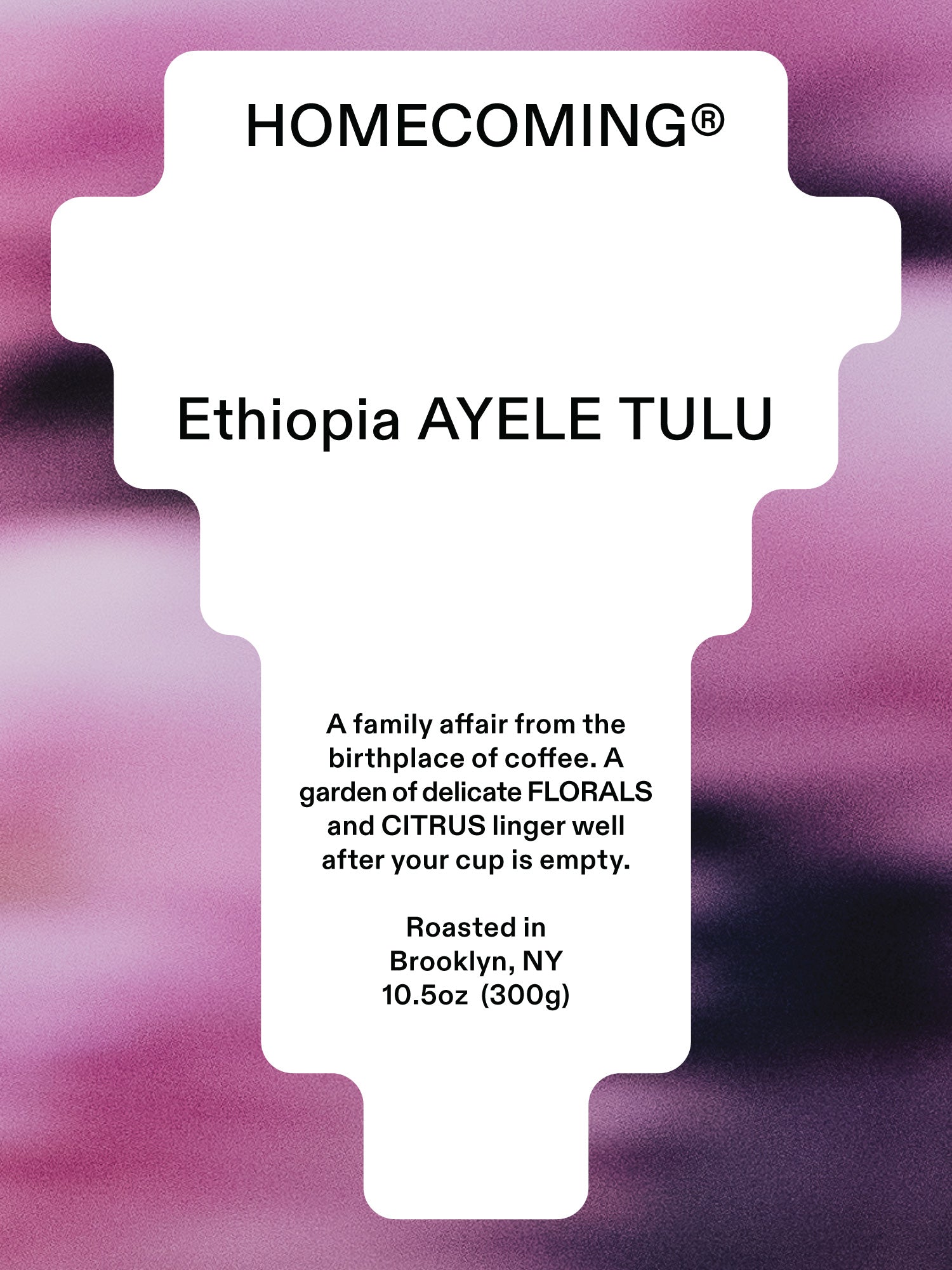 Ethiopia Ayele Tulu