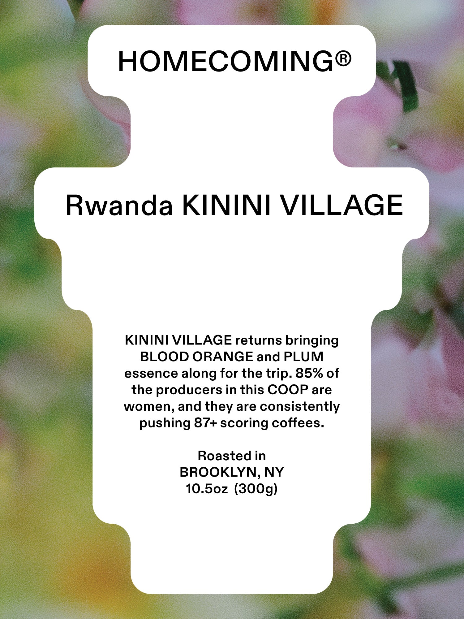 Rwanda Kinini Village