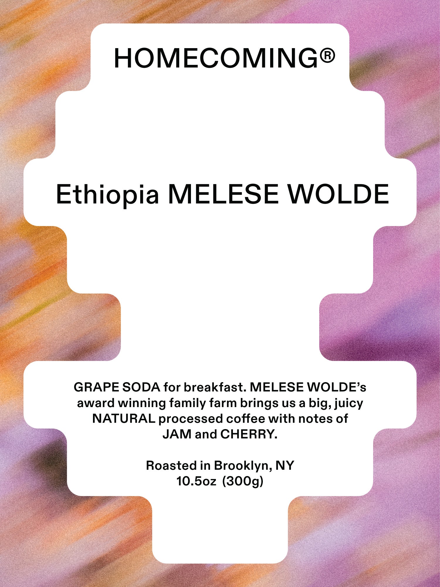 Ethiopia Melese Wolde