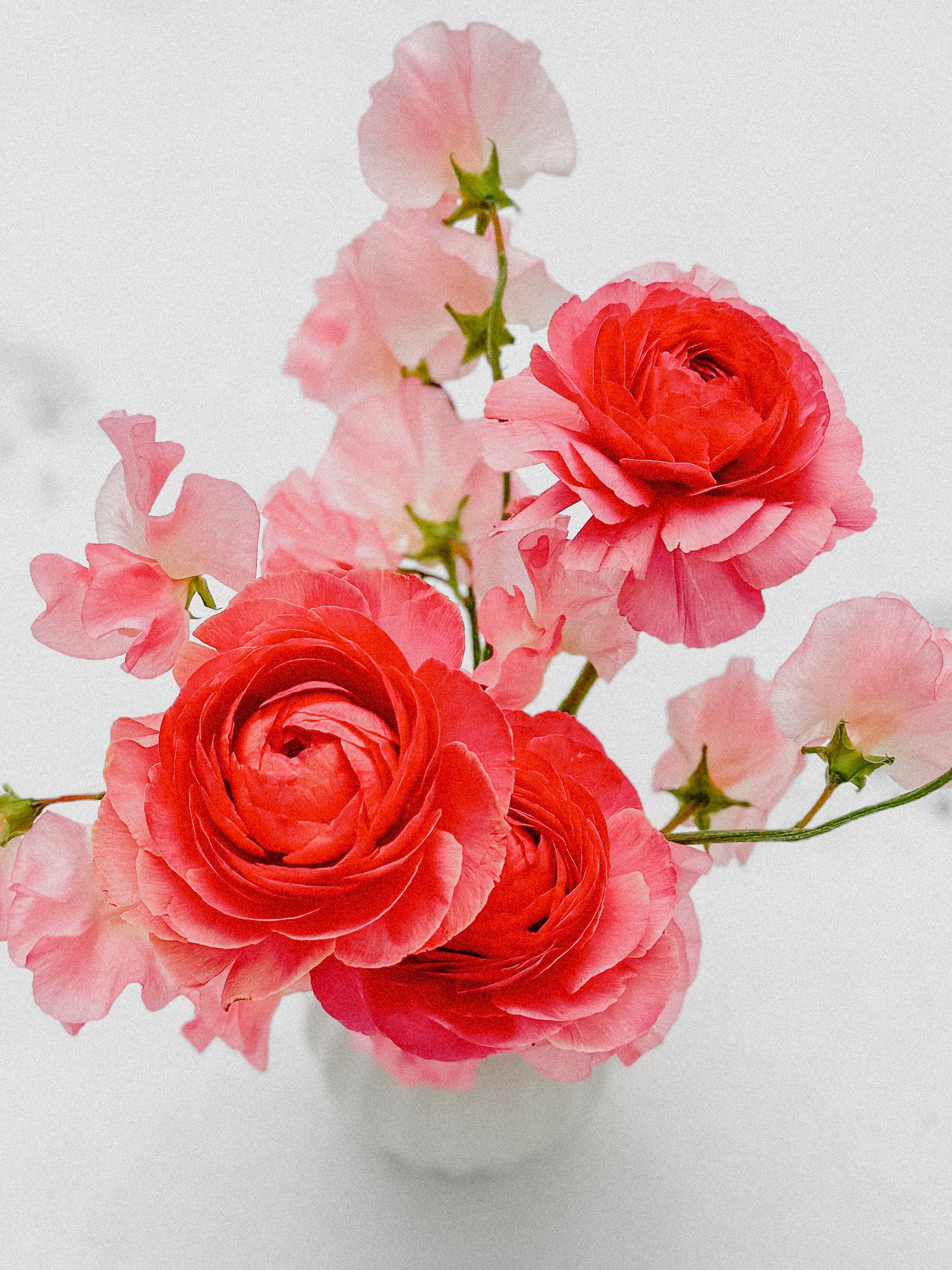 Ranunculus Arrangement