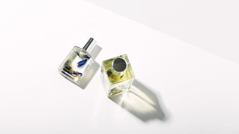 1509 Elisabeth Fragrance Oil Perfume – Homecoming