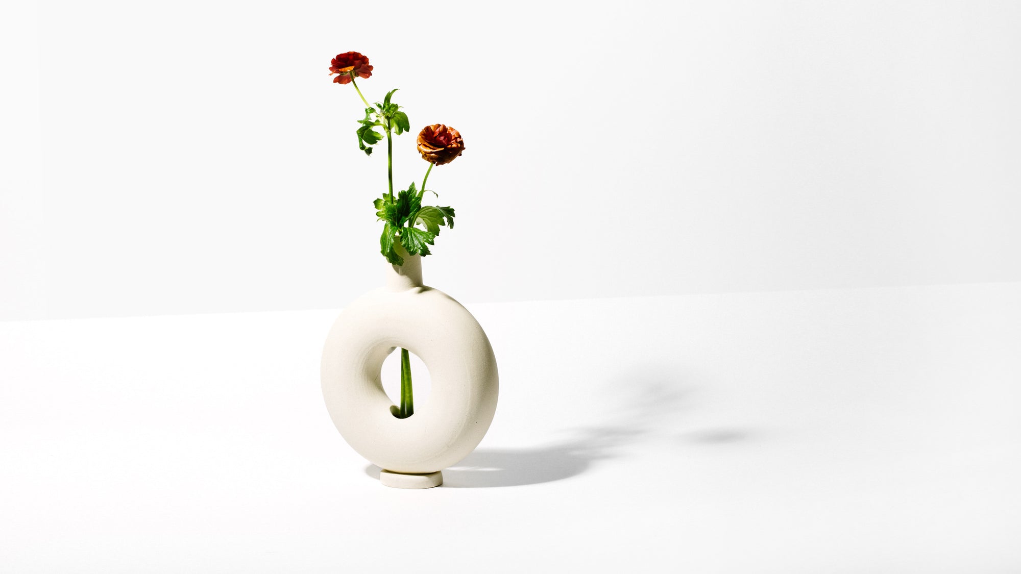 Torus Vase - Homecoming