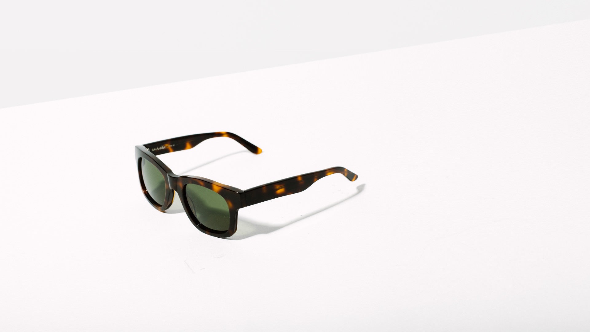 Type 01 / Bibi - Tortoise - Homecoming