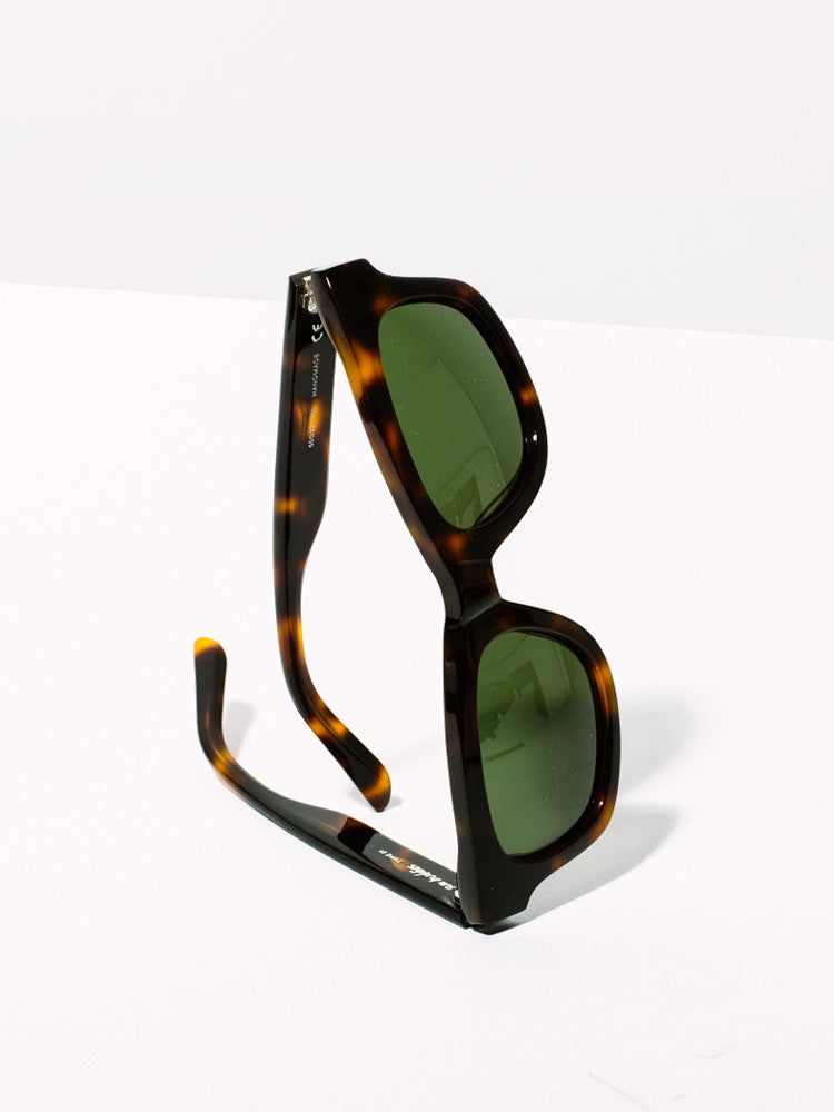 Type 01 / Bibi - Tortoise - Homecoming