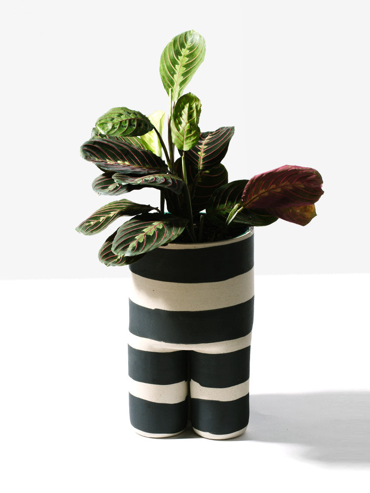 Workaday Handmade - Black Striped Milking Planter – Homecoming